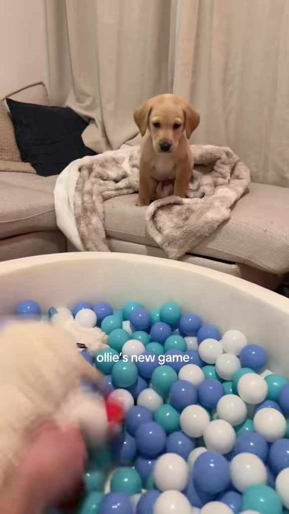 @ELLA REESE