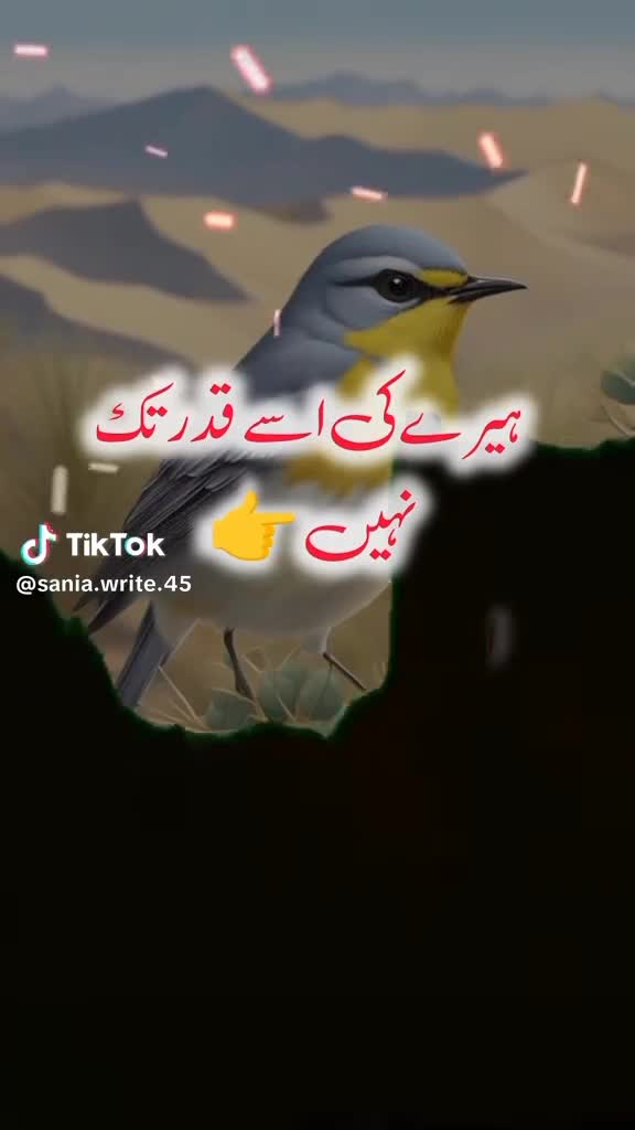 @Mian Mehboob Ahmad
