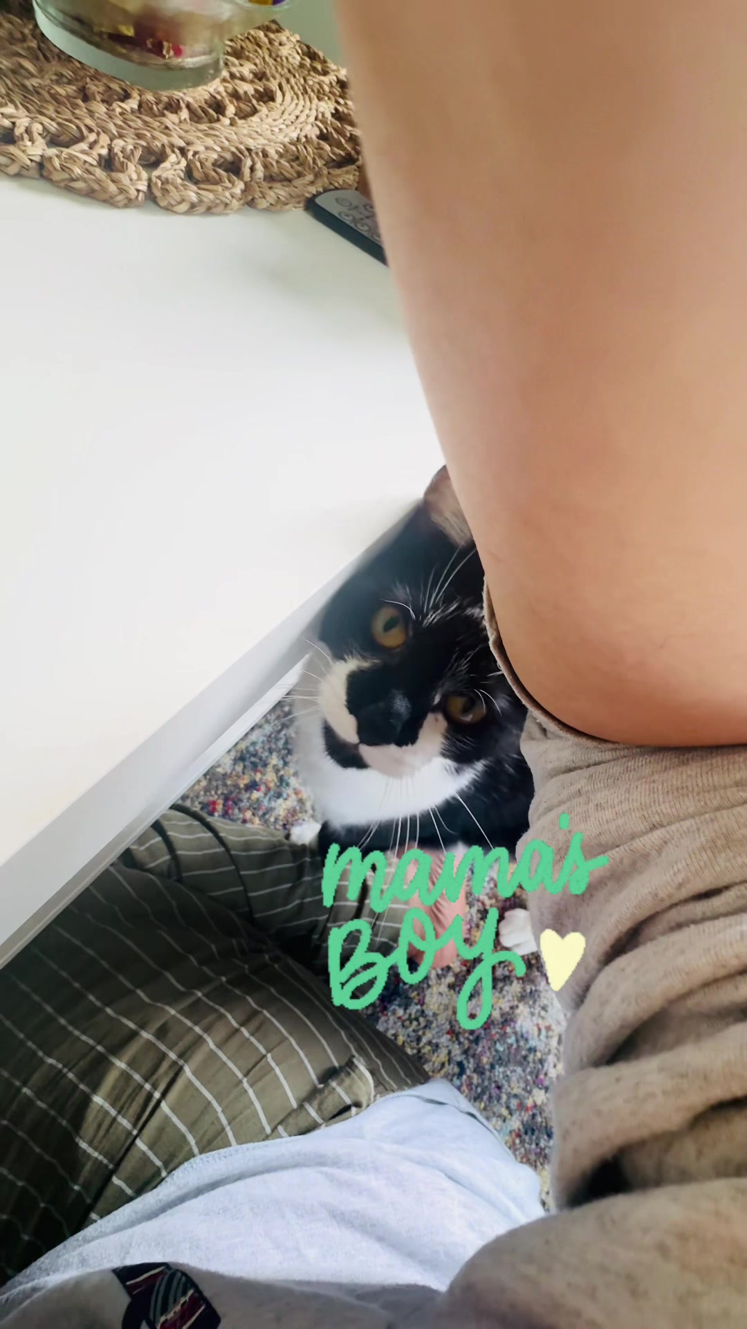 @Chibi.the.cat