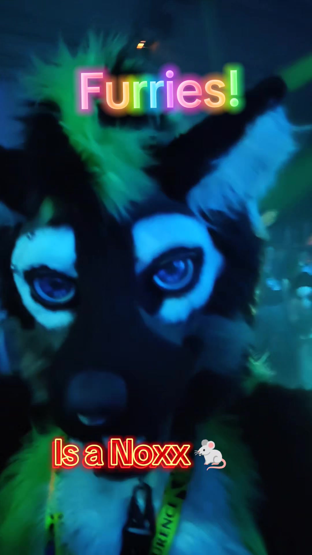 @HypaDook/FlowFox