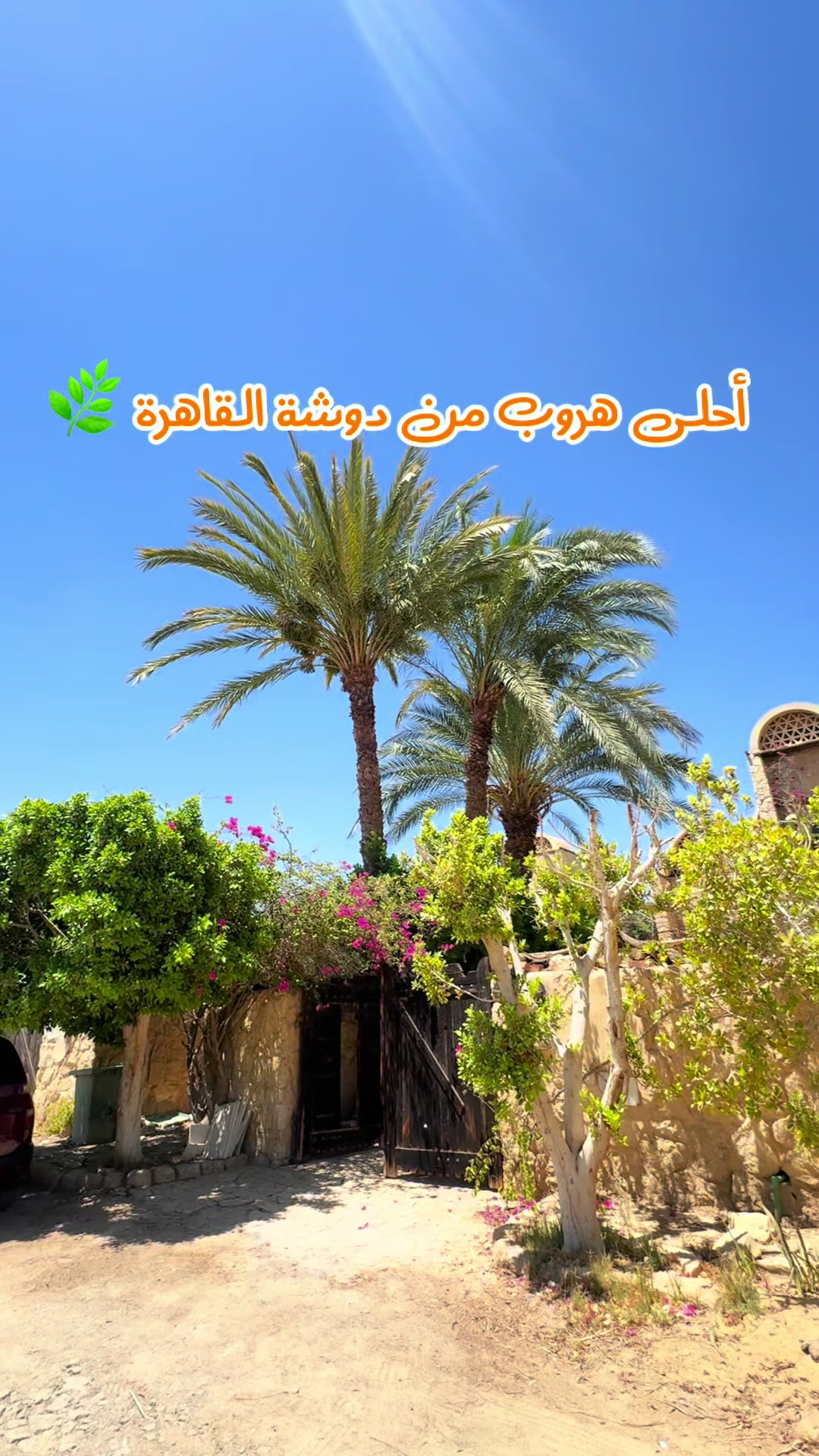 @البُساط ElBosat