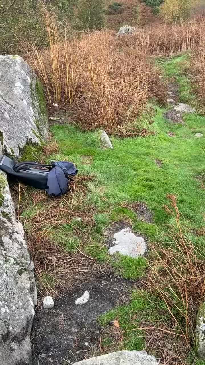 @BuckleUpbren🐦🔥