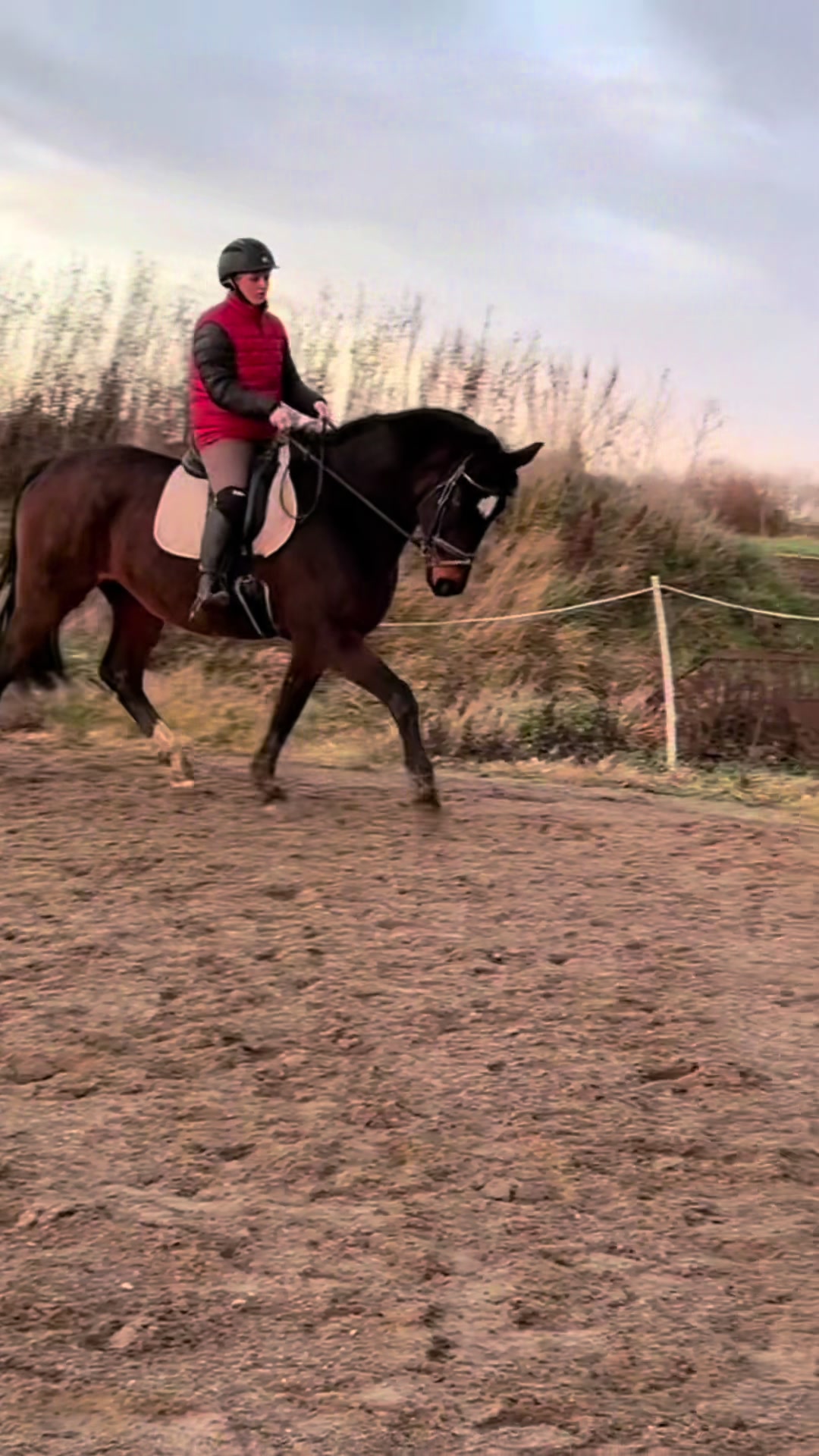 @Kv.equestrian