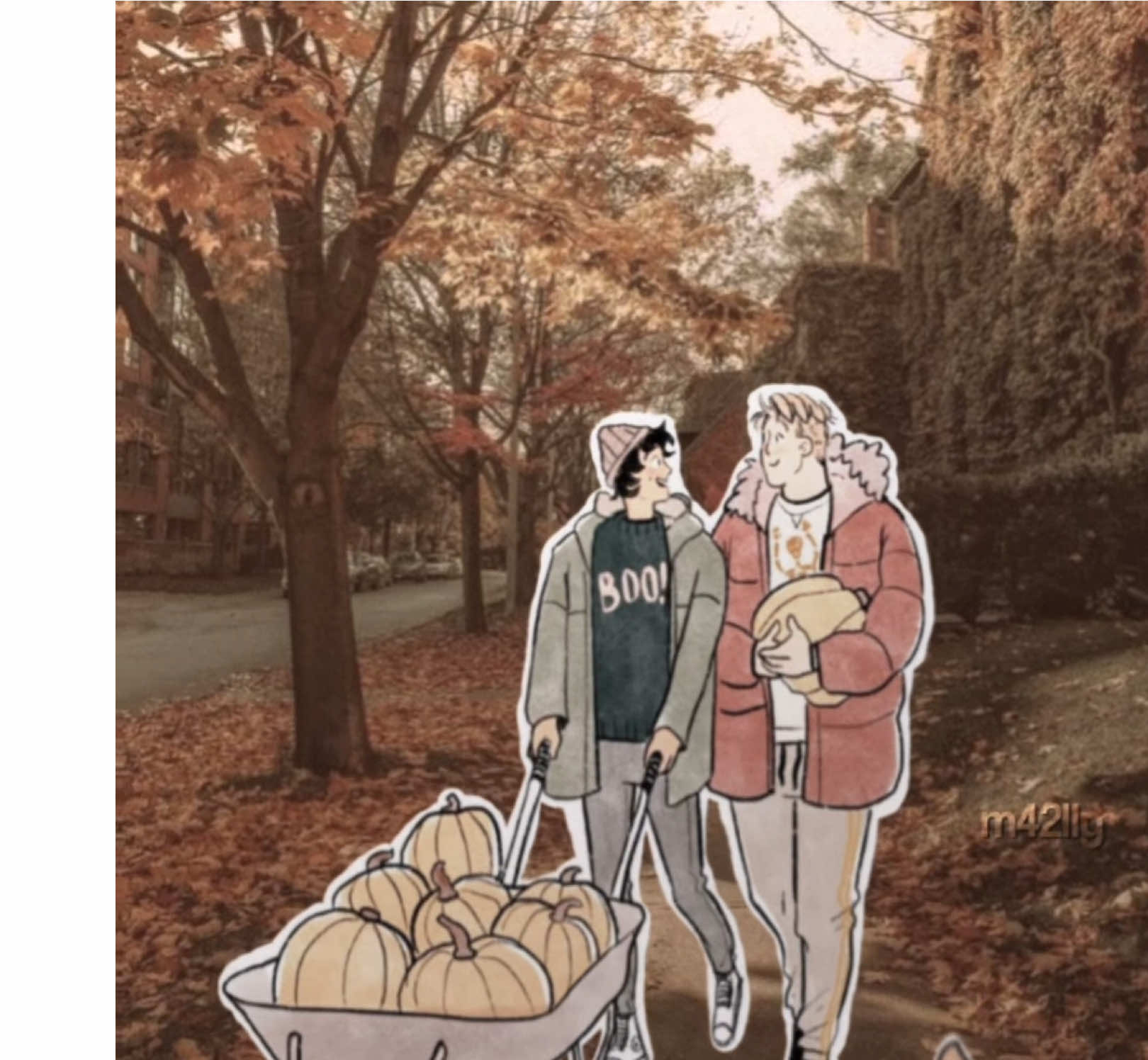 @⋆.𝓂⋆.