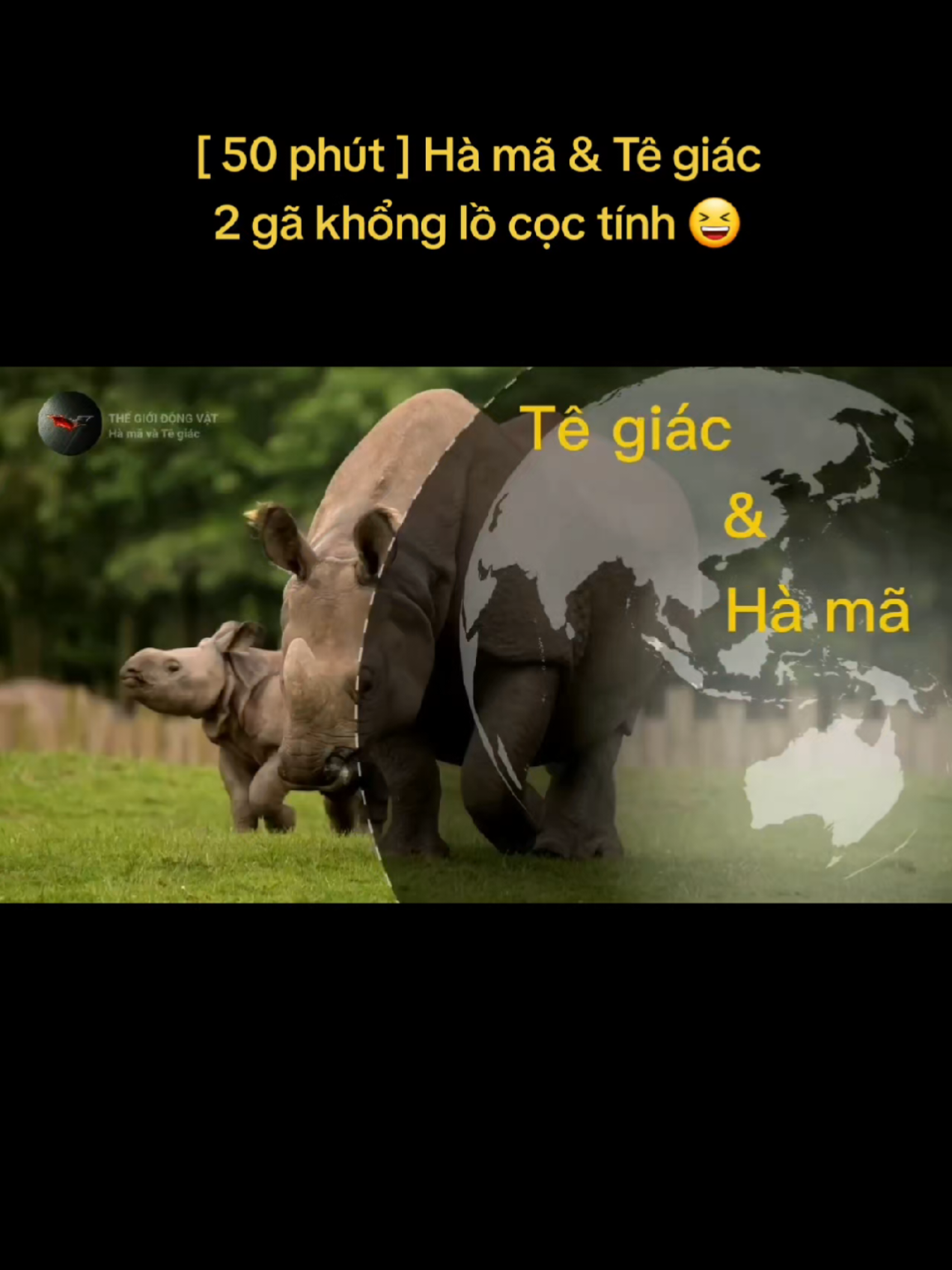 @🌏 BATMAN