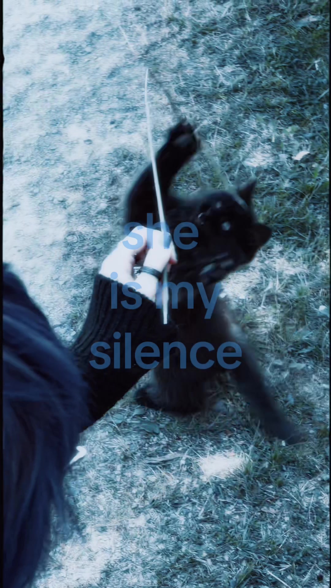 @navy_bluu