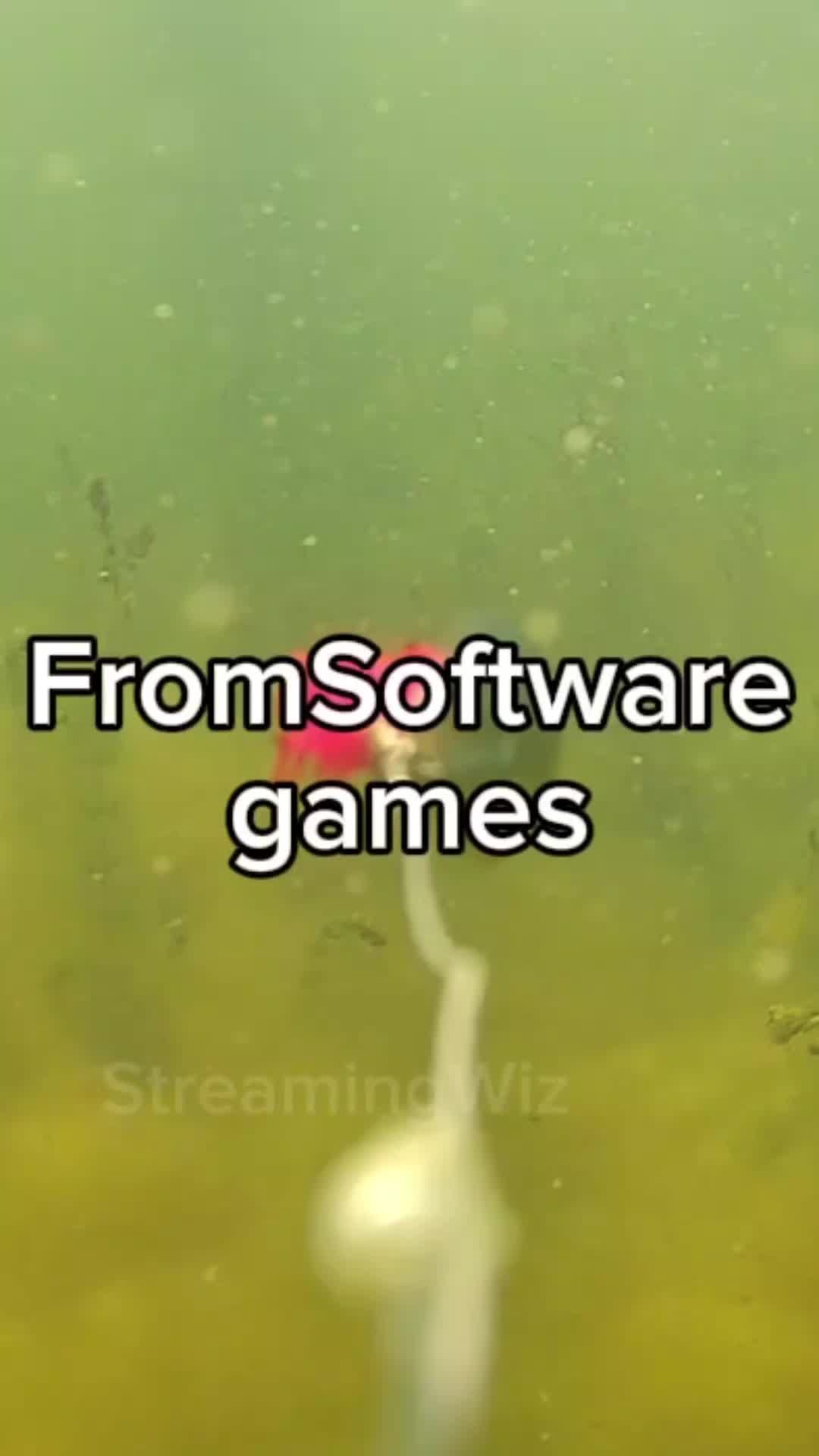 @StreamingWiz