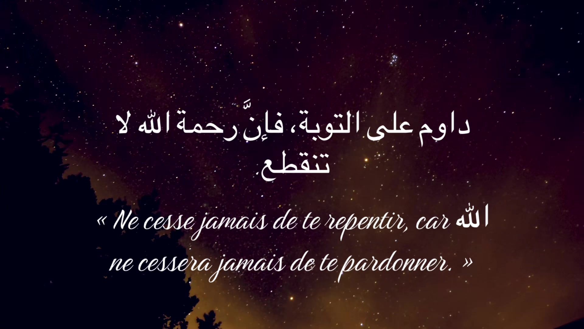 @sawtalhaqq00