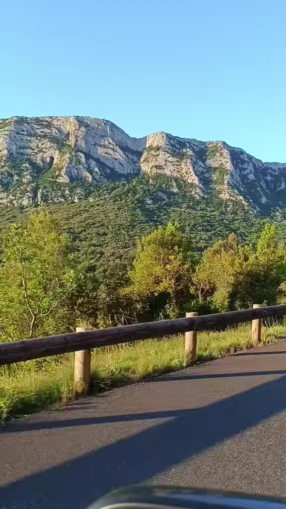@Jo&atilde;o Cardoso
