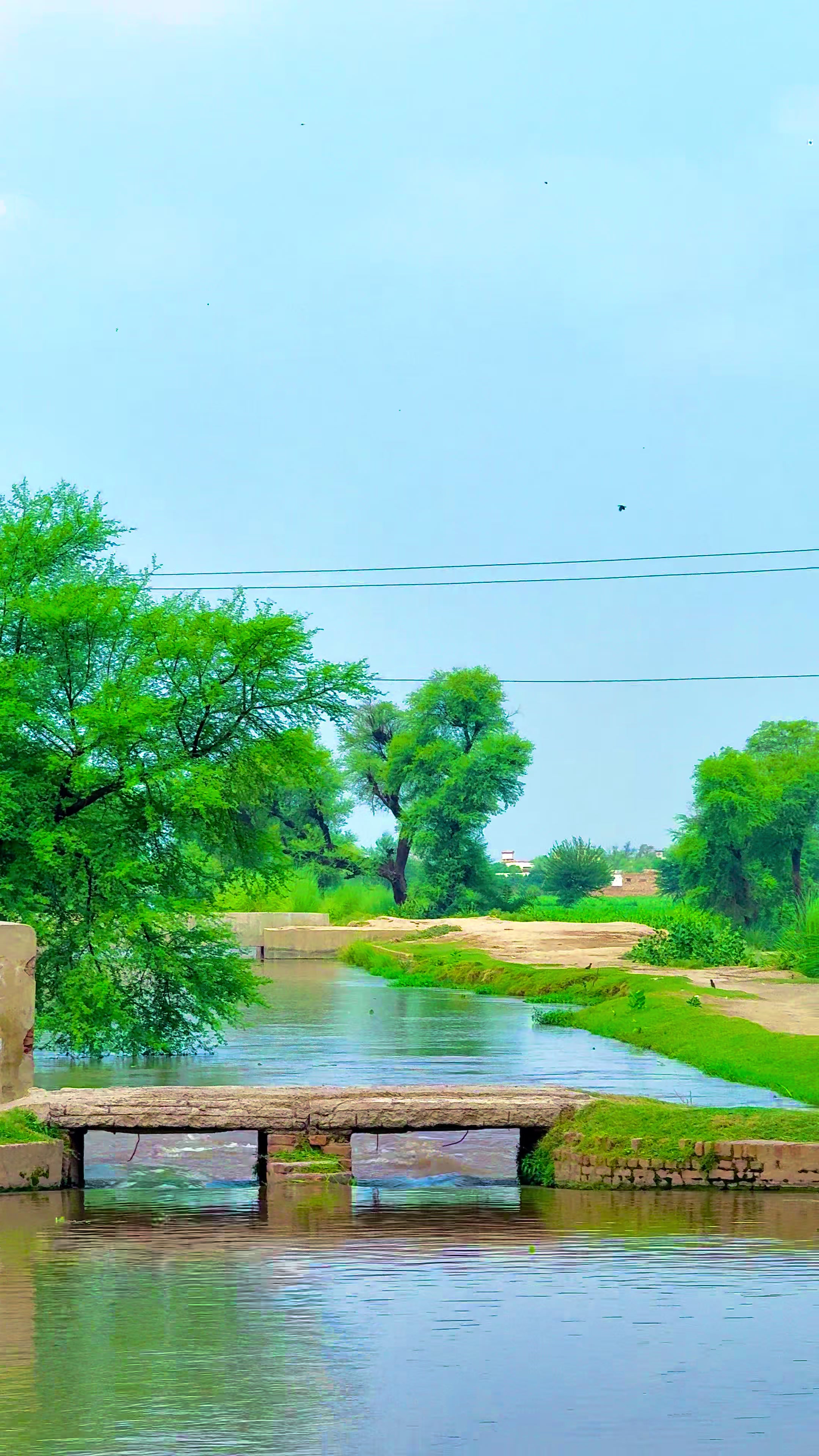 @🌾میں۔ میرا۔ پنڈ🎋
