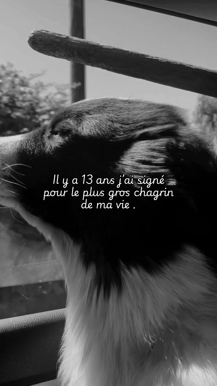 @🖤 ᴏᴘʜᴇʟɪᴇ 🖤
