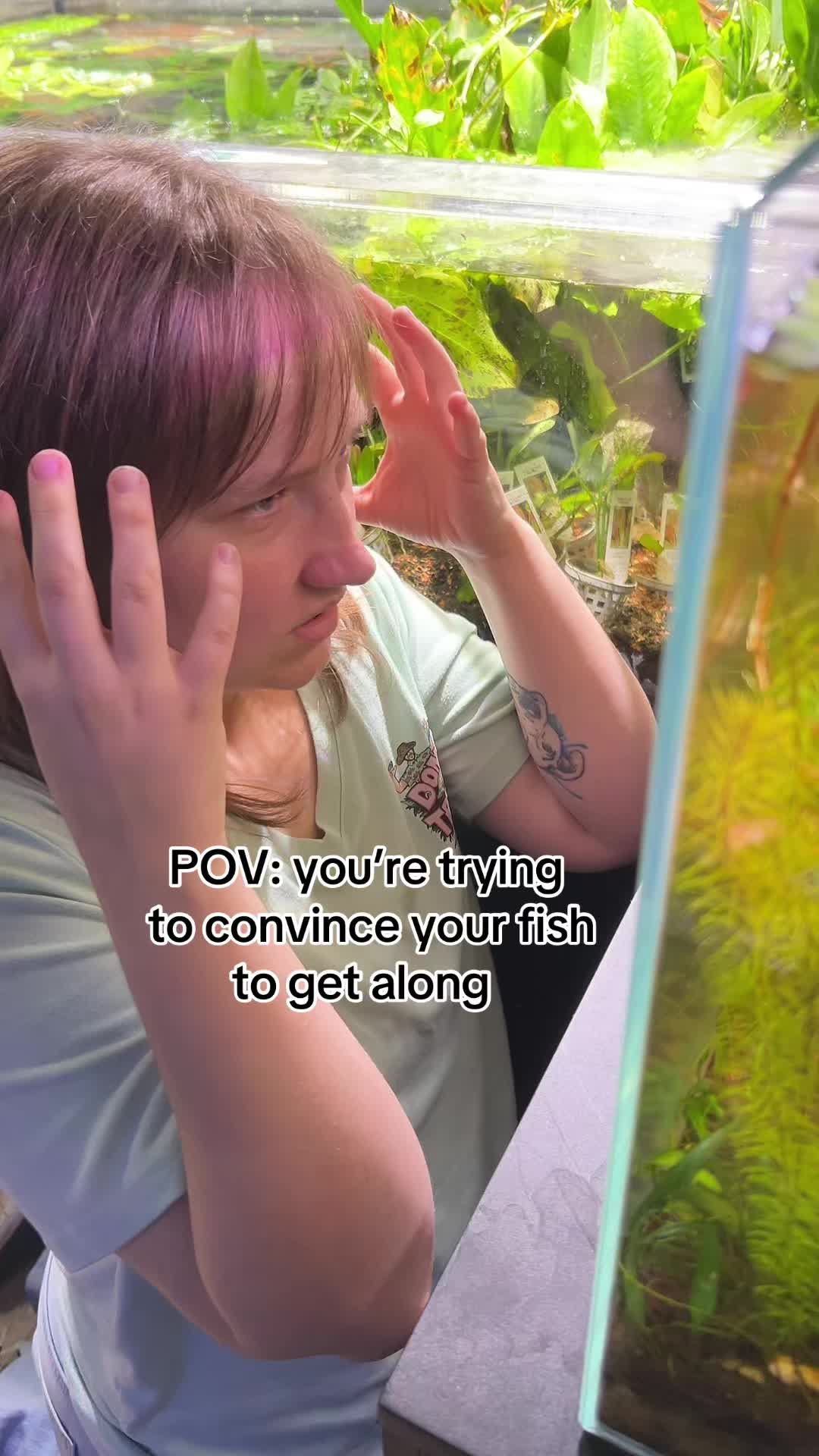 @Don’s Tropical Pets and Plants