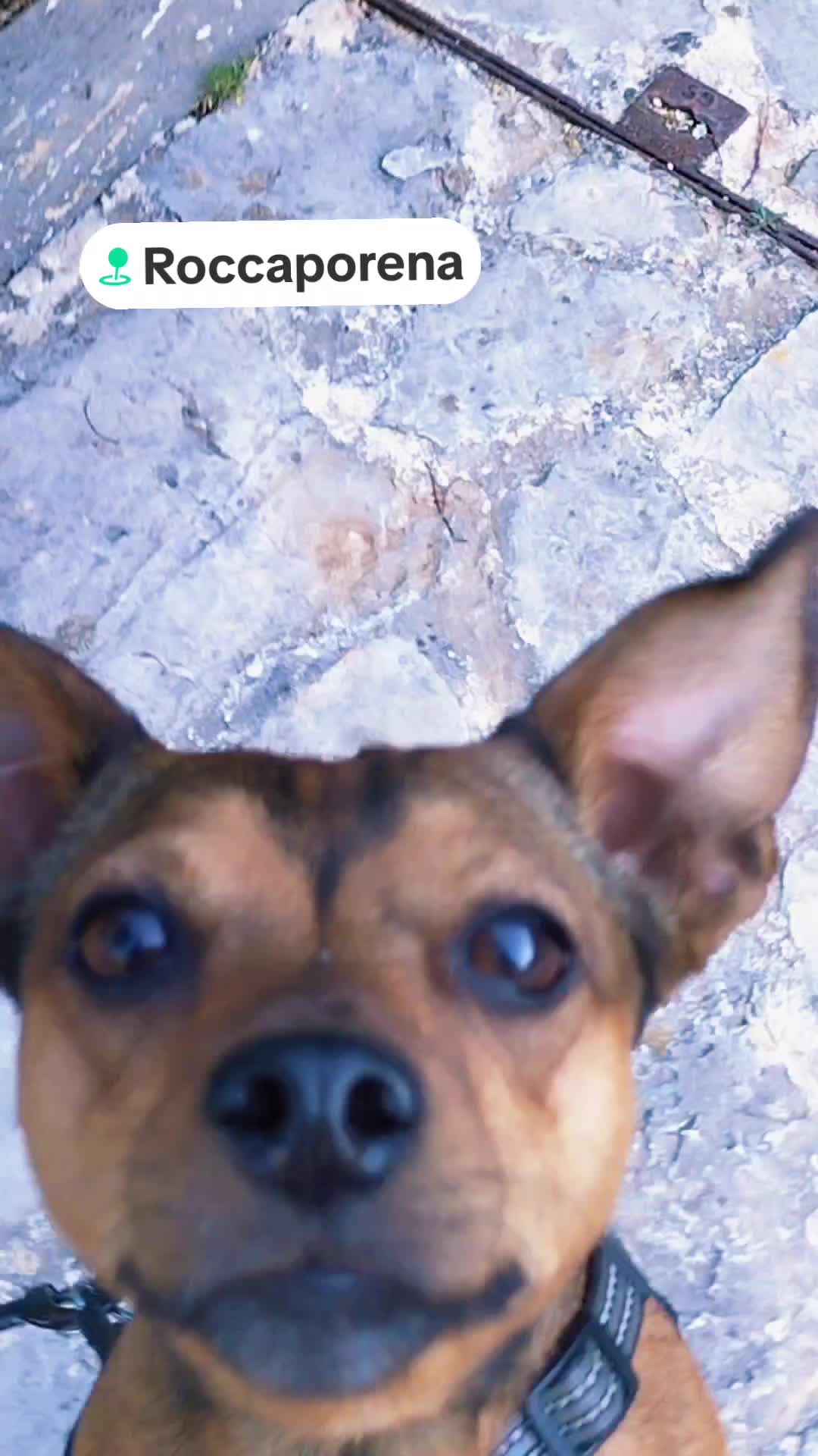 @I love my Sasha