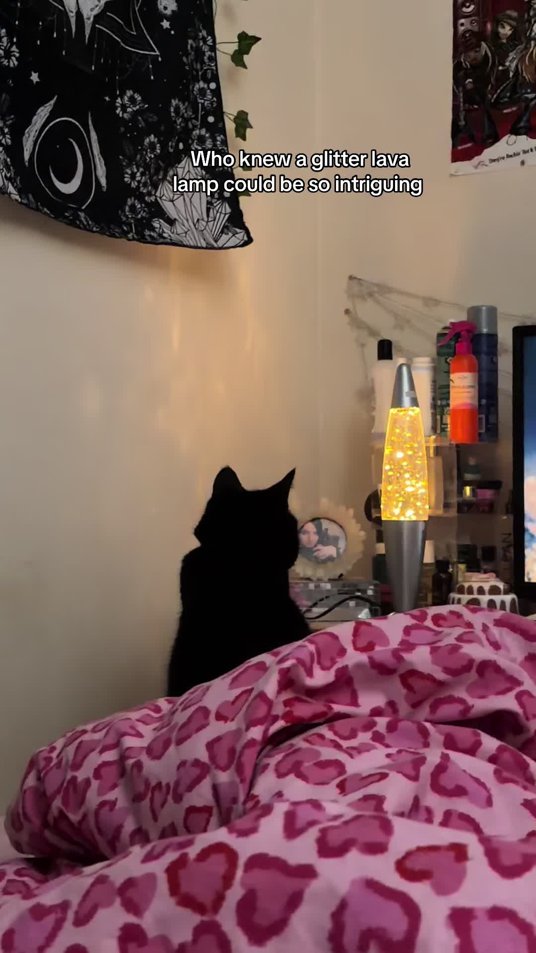 @Katdenningsburd