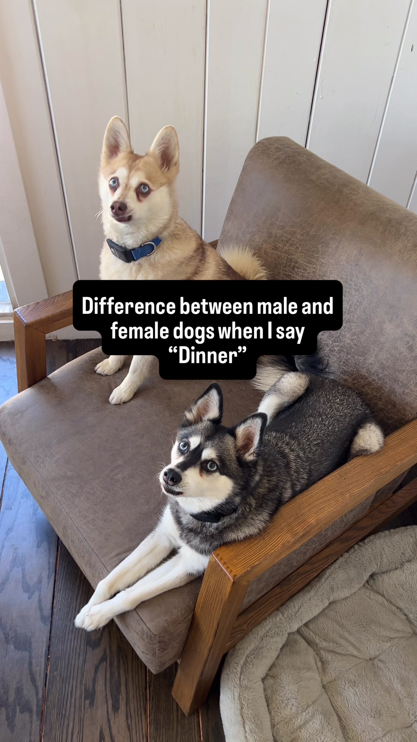 @lifewithkleekai