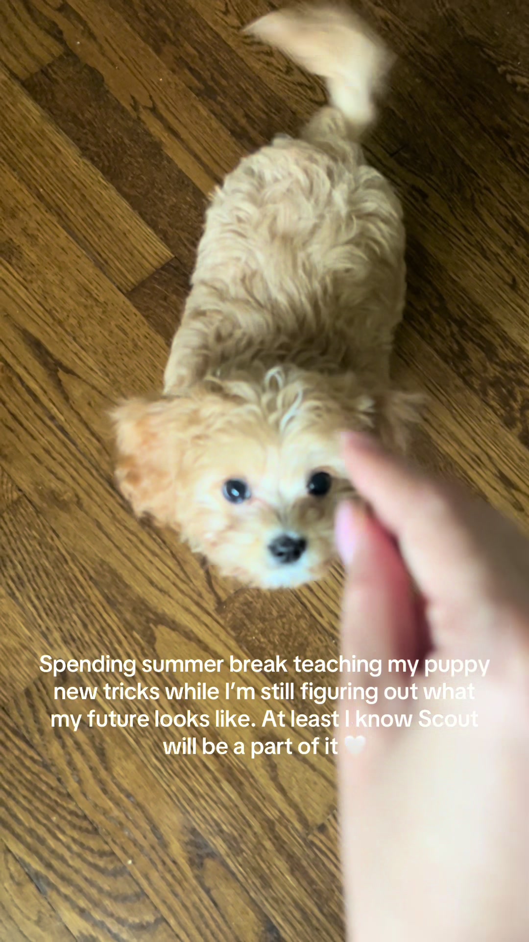 @figuringitoutwithmimi