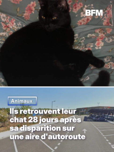 @BFMTV