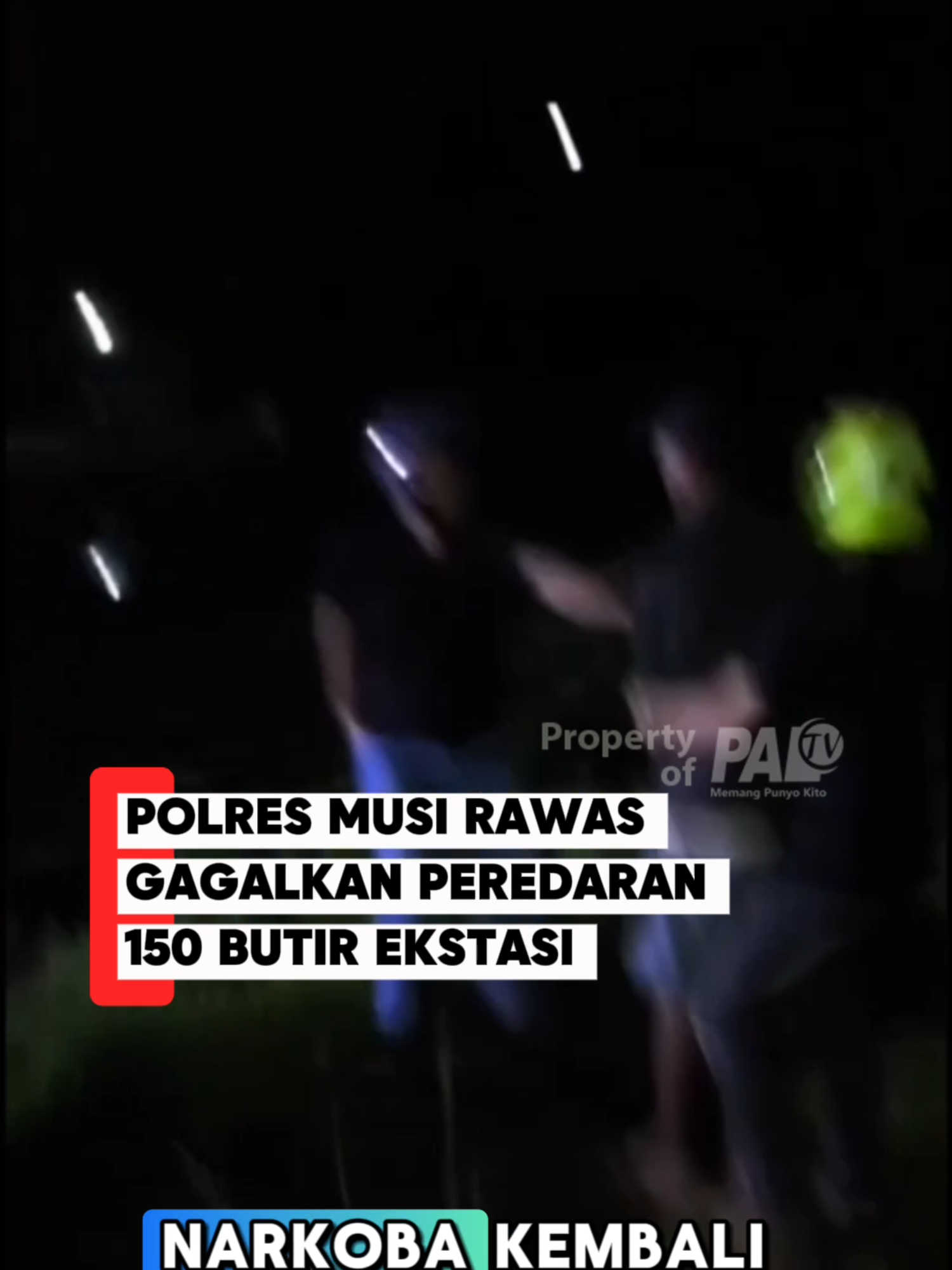 @Paltv-Memang Punyo Kito