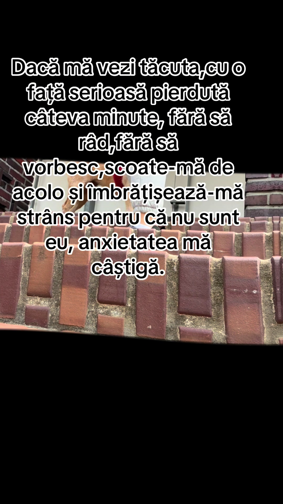 @💫⭐️ANDRADA💫⭐️