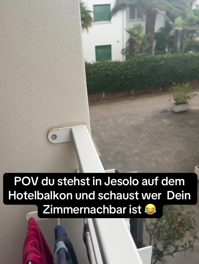 @Die Molosser🐷