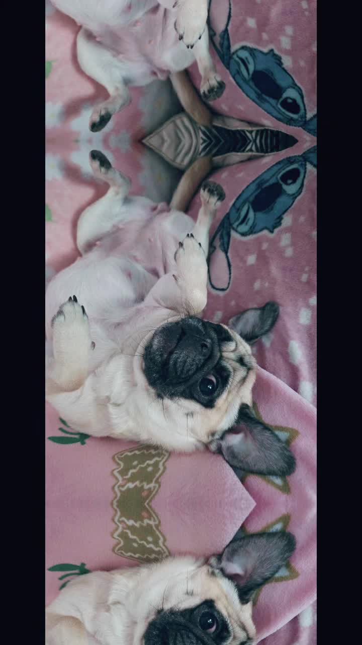 @Princesse-Iris ❤️