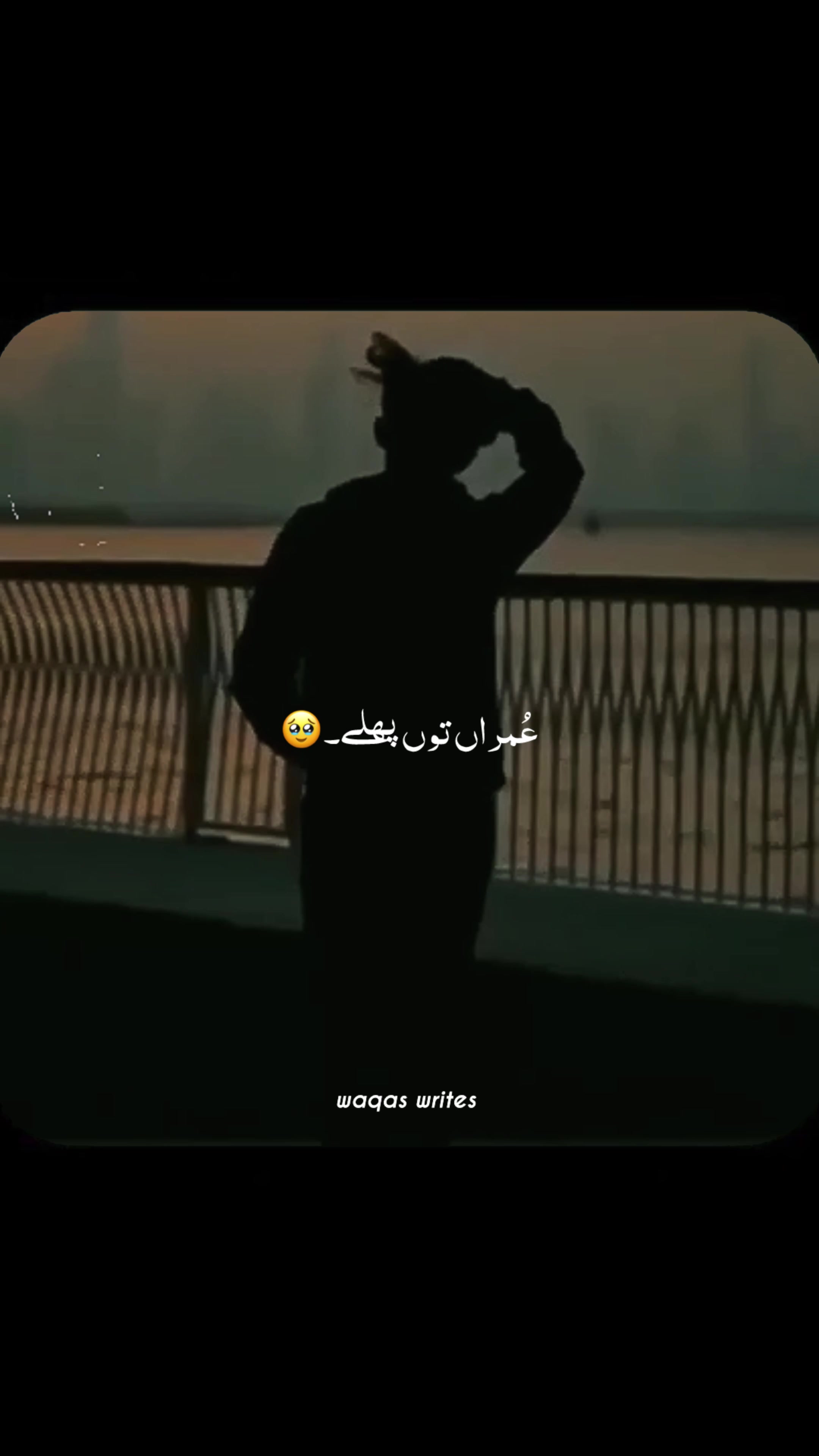 @Sunny Vlogger