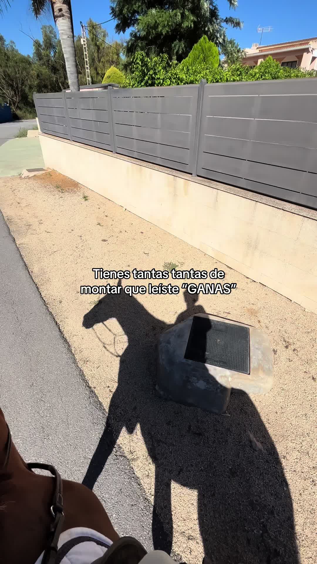 @MyHorse