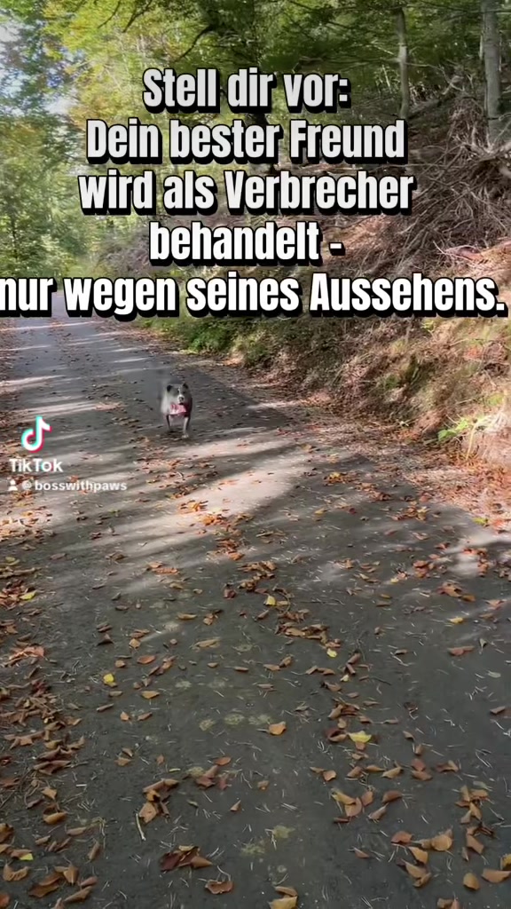 @MeinHundIstKeinVerbrecher