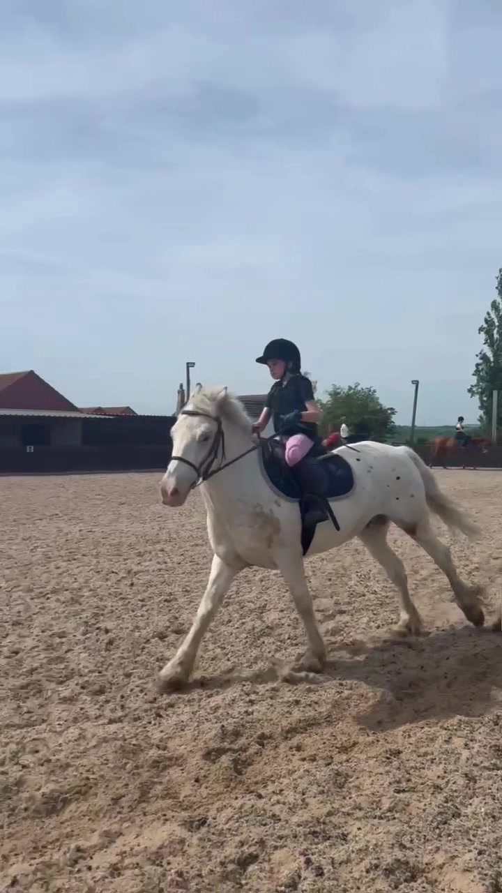 @LottiesHorseAdventures🦄🐴