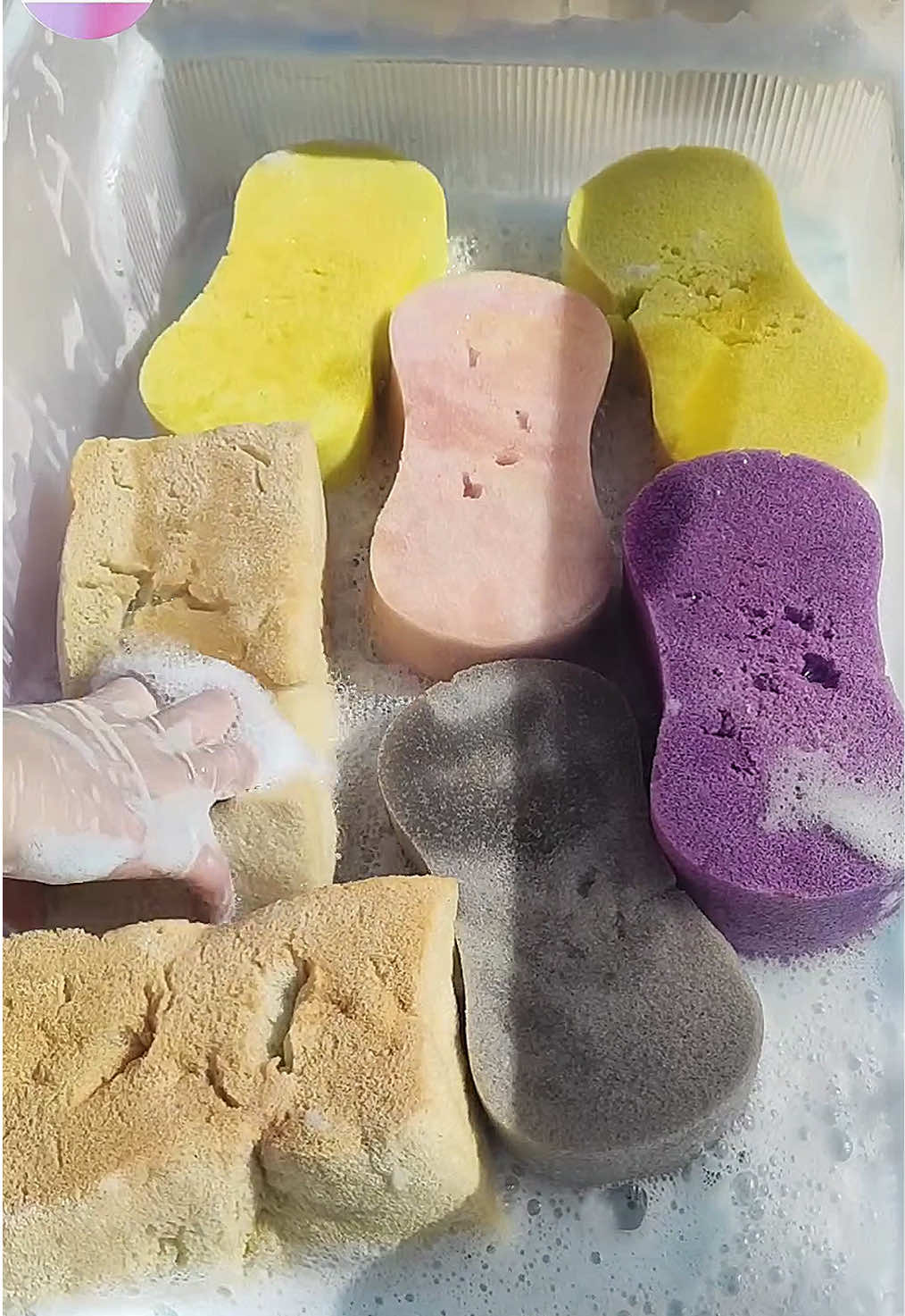 @HD Spongetok