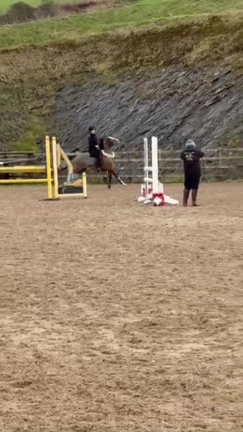 @amelia_showjumping2