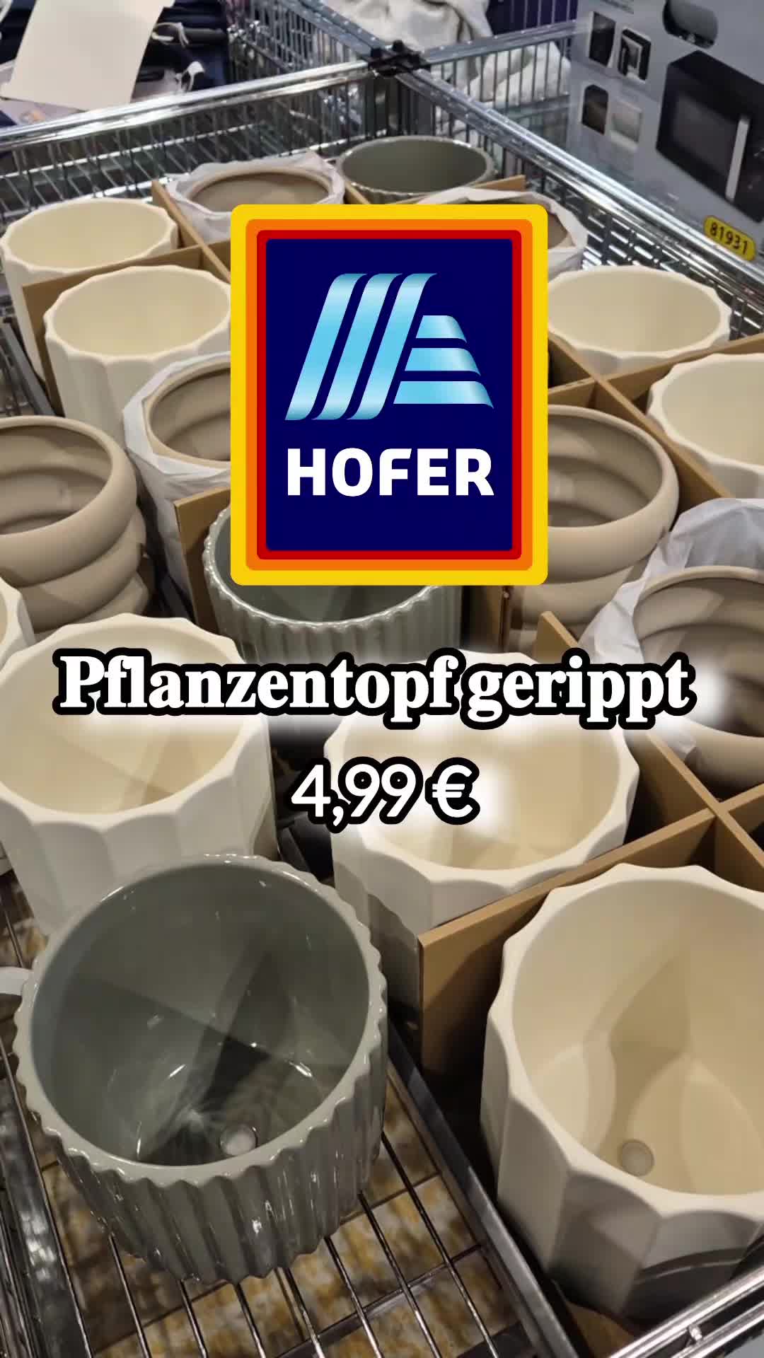 @𝓑𝓮𝓻𝓲𝓿𝓪𝓷 🌸