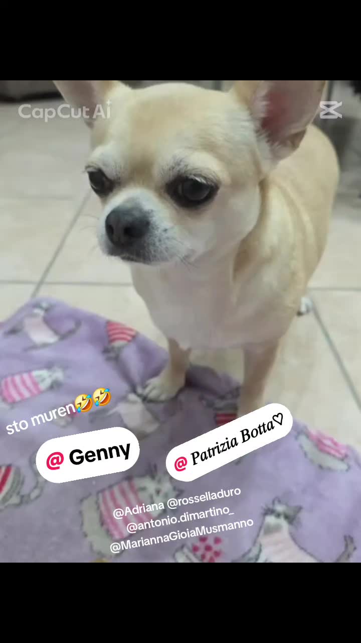 @lucia