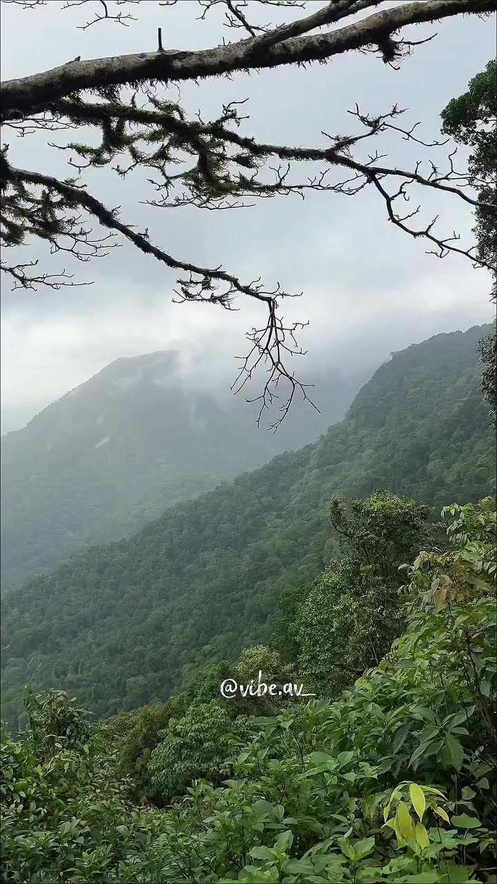 @●ಮಲ್ನಾಡ್ ಹುಡ್ಗ●