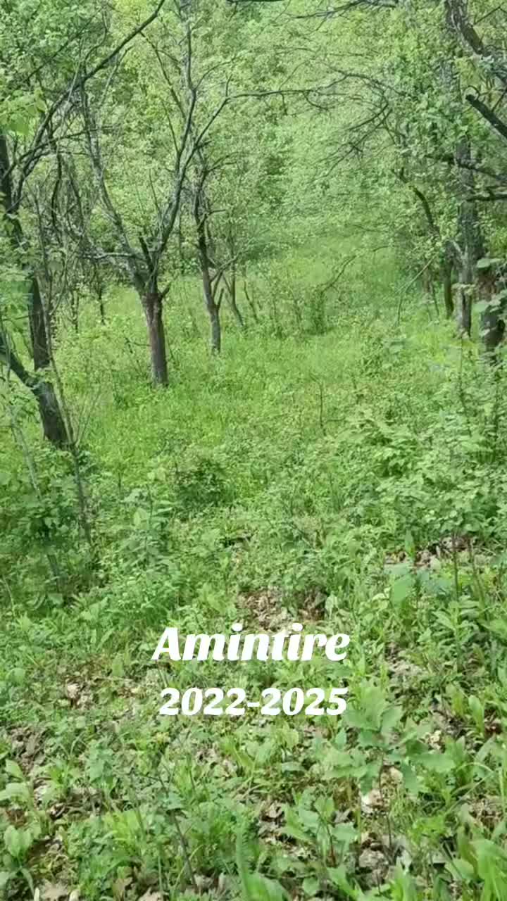 @Firuța Modoianu