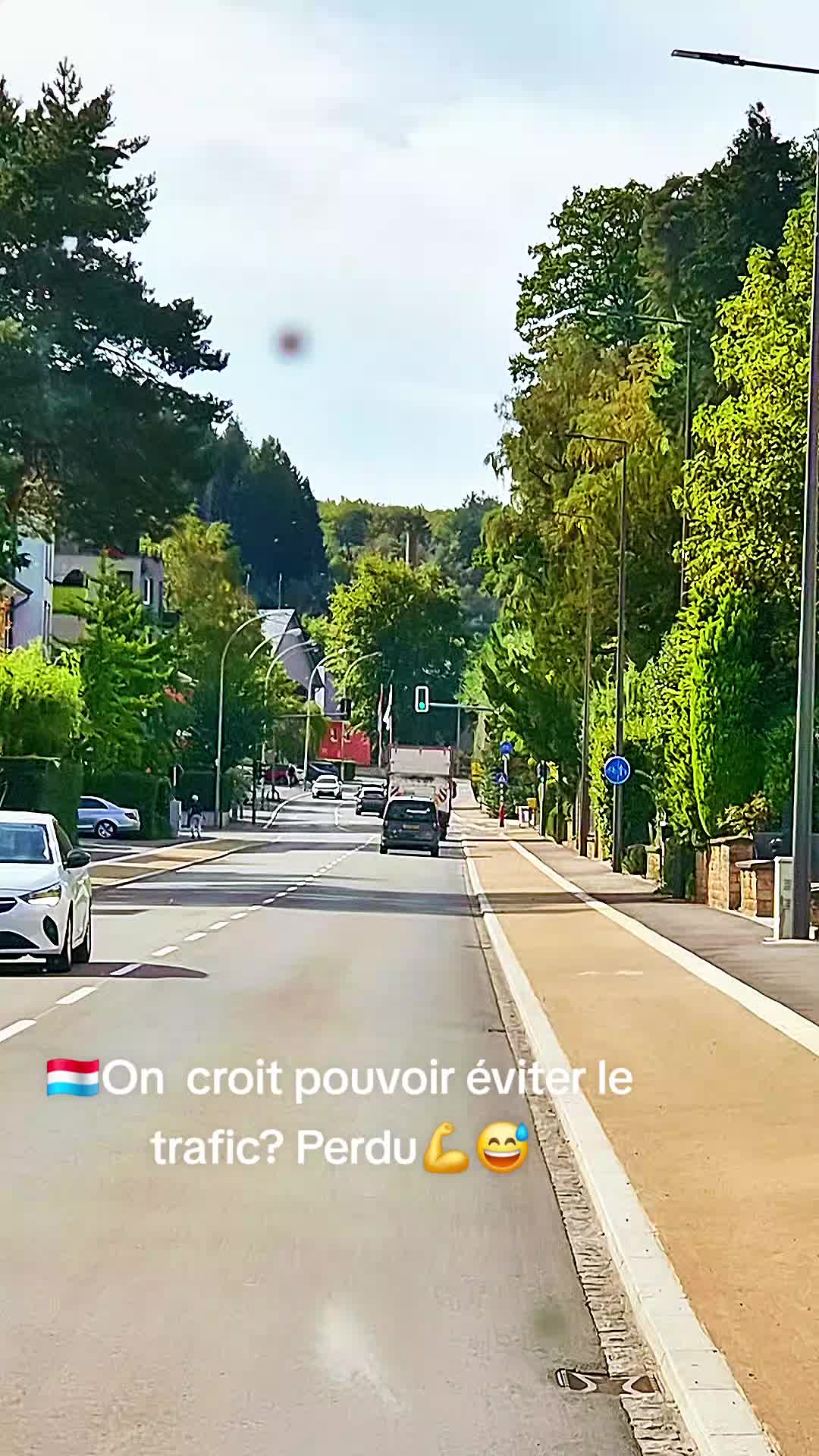 @Gra🙃ça🇱🇺 countrylife