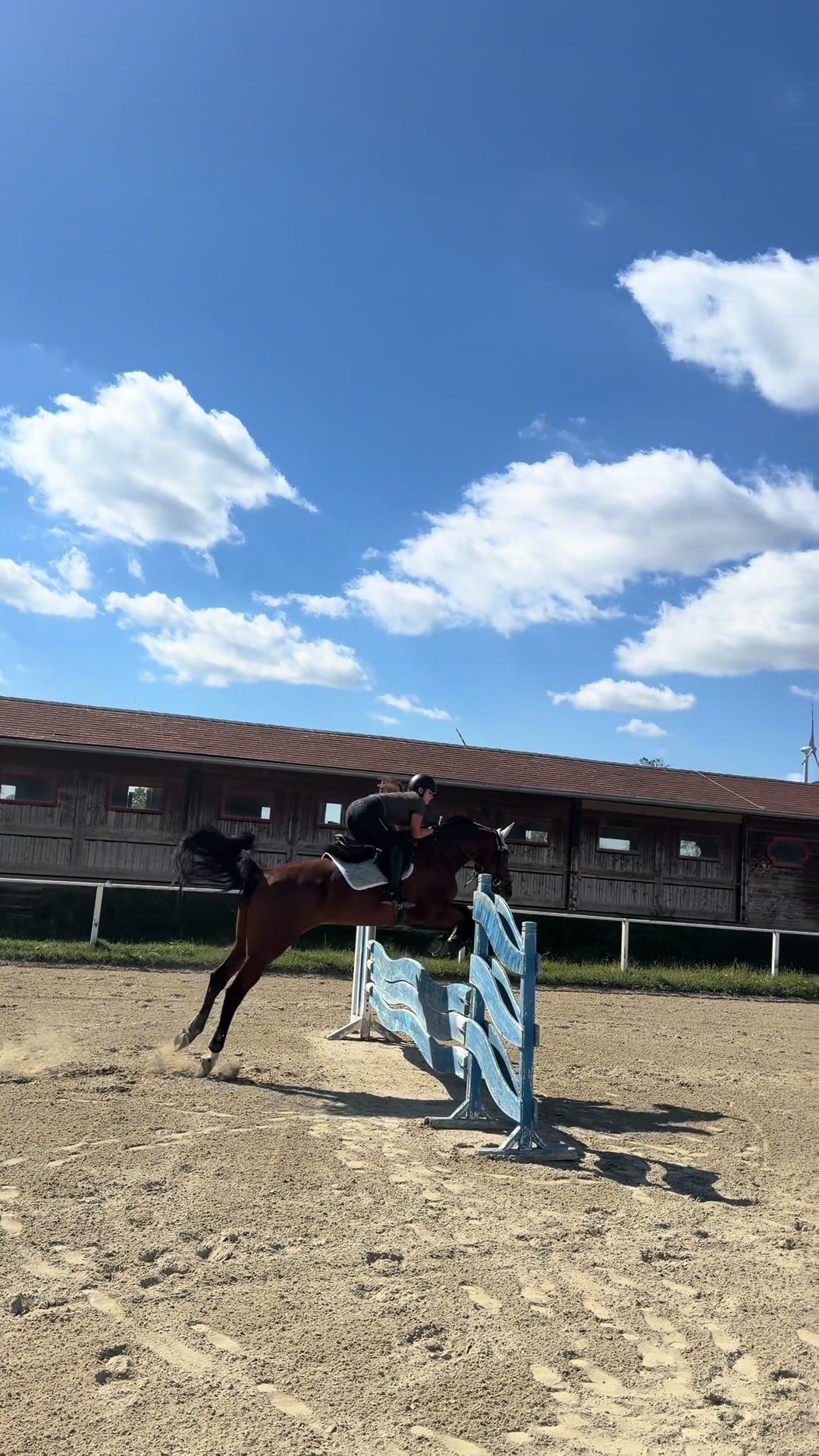 @sophietschi_x_equestrian
