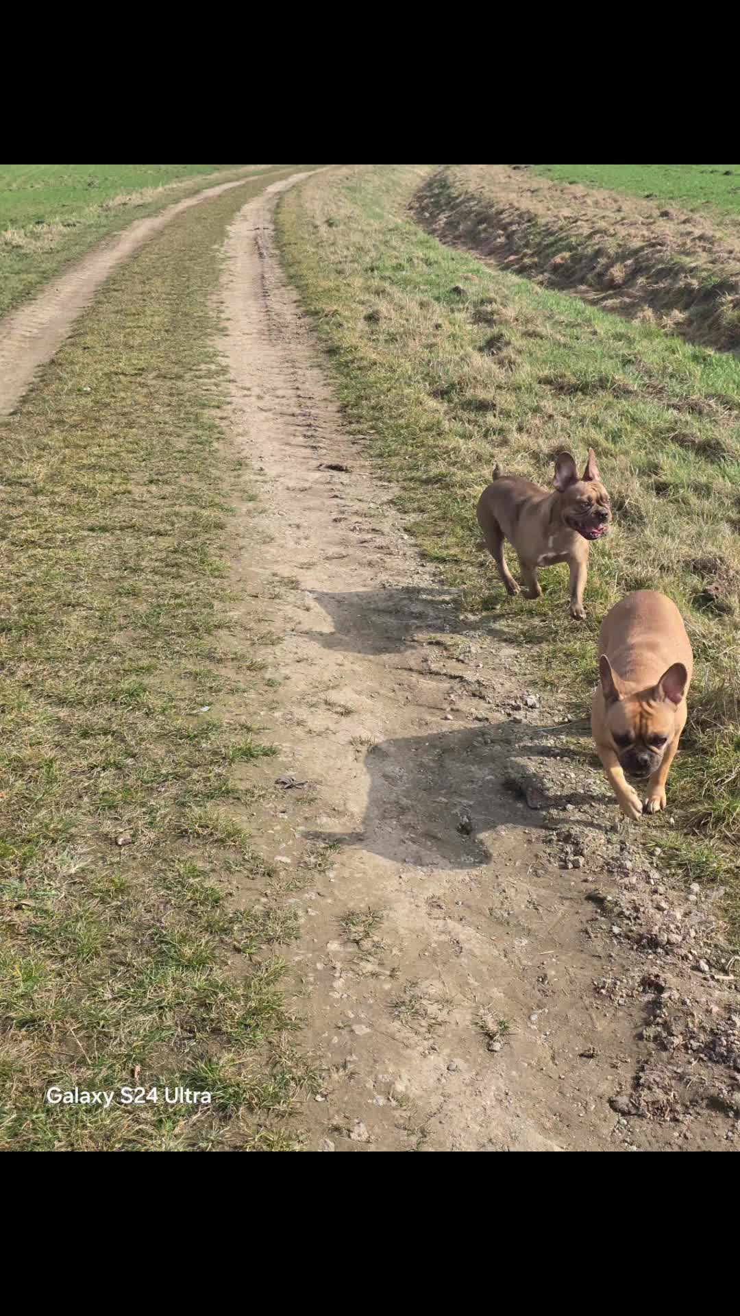 @🐾Bullytrulla🐶