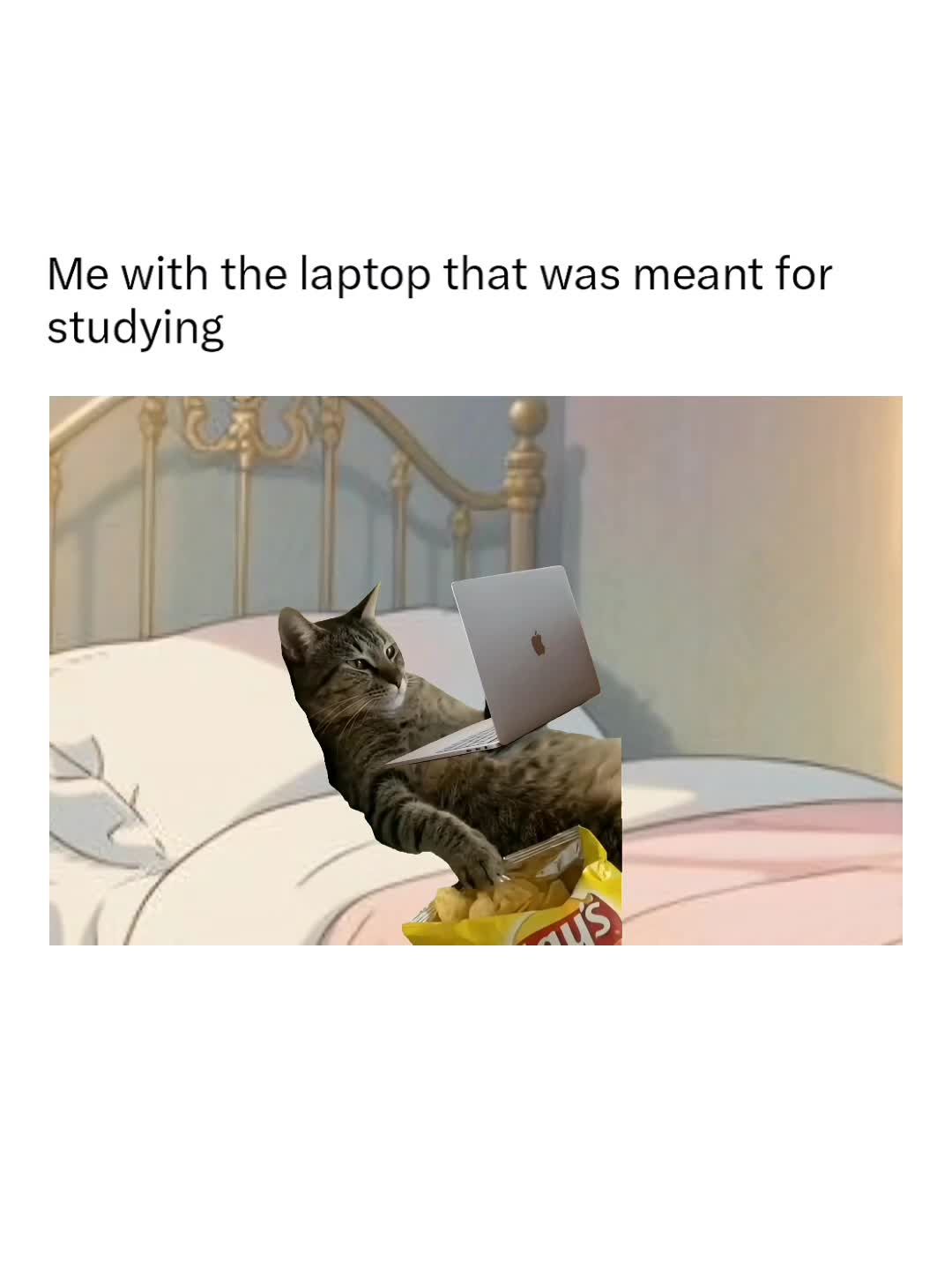 @Memezar