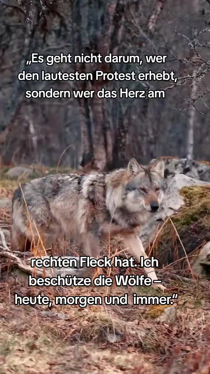 @schützt-den-wolf 🇦🇹