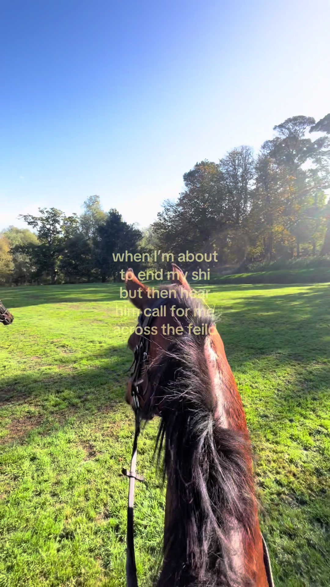 @🥂🐎🦢