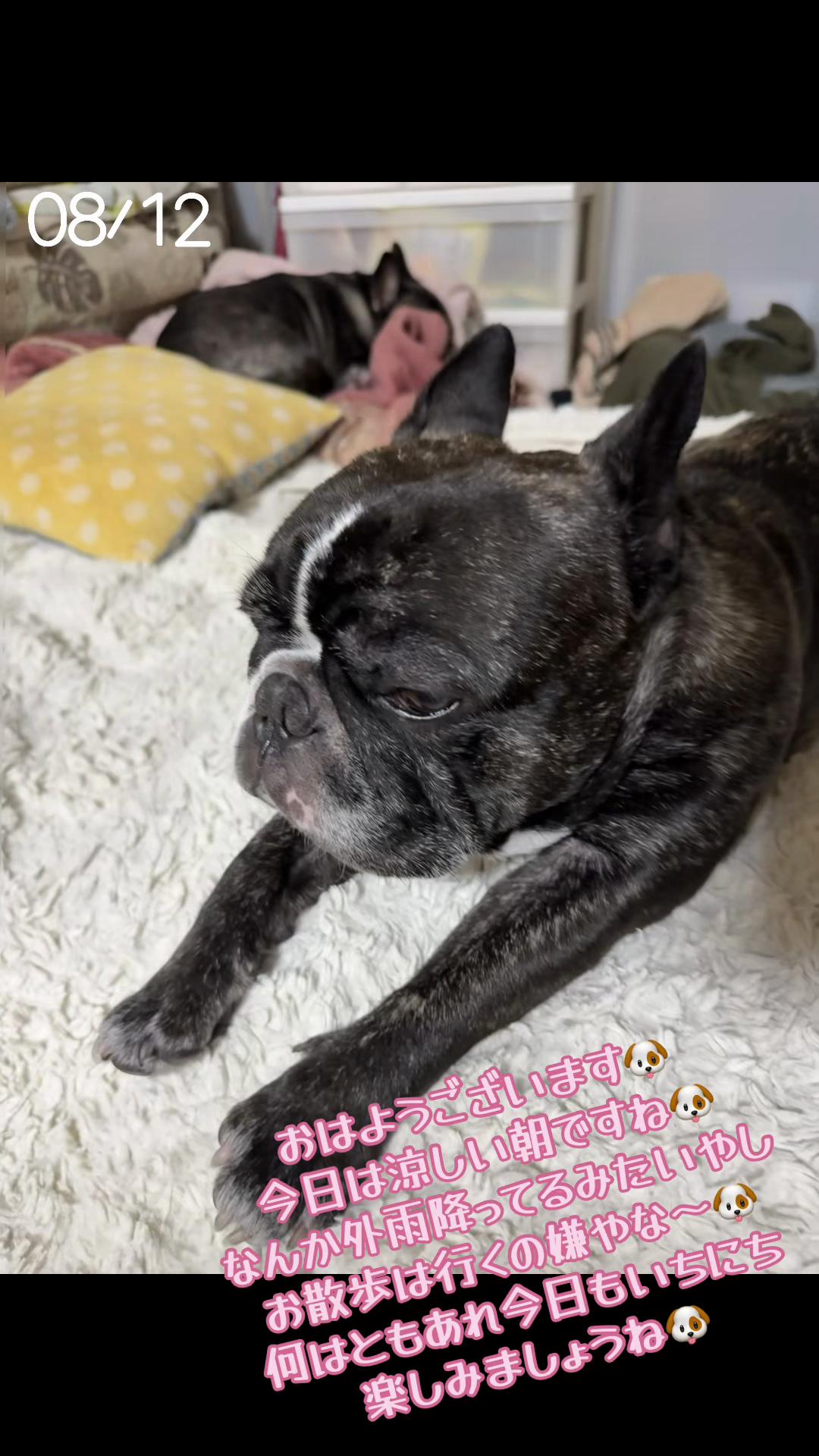@遮那😎⚡️🐾