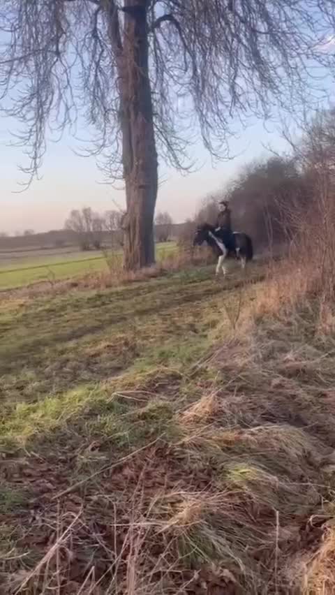 @Helene🦅🇩🇪