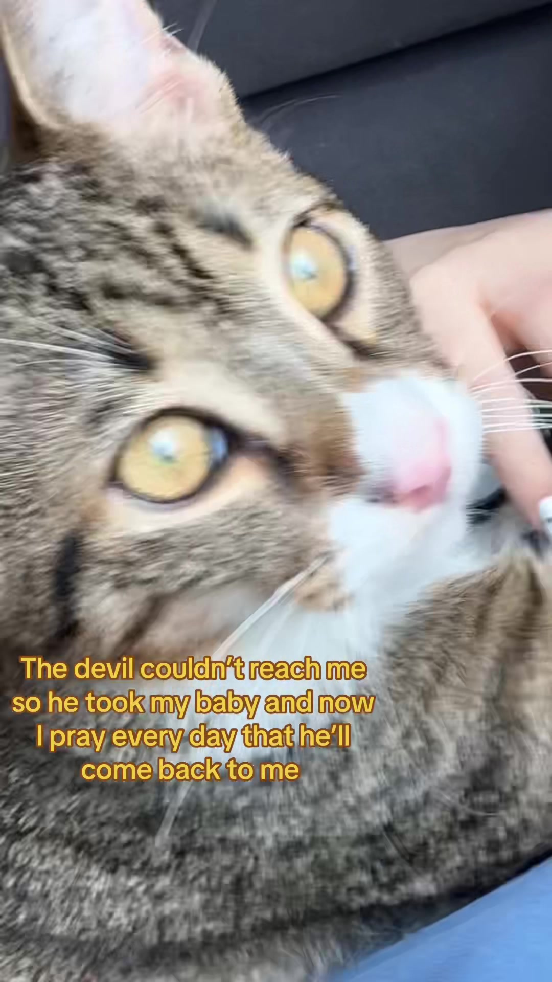 @🍓Ave 🍓
