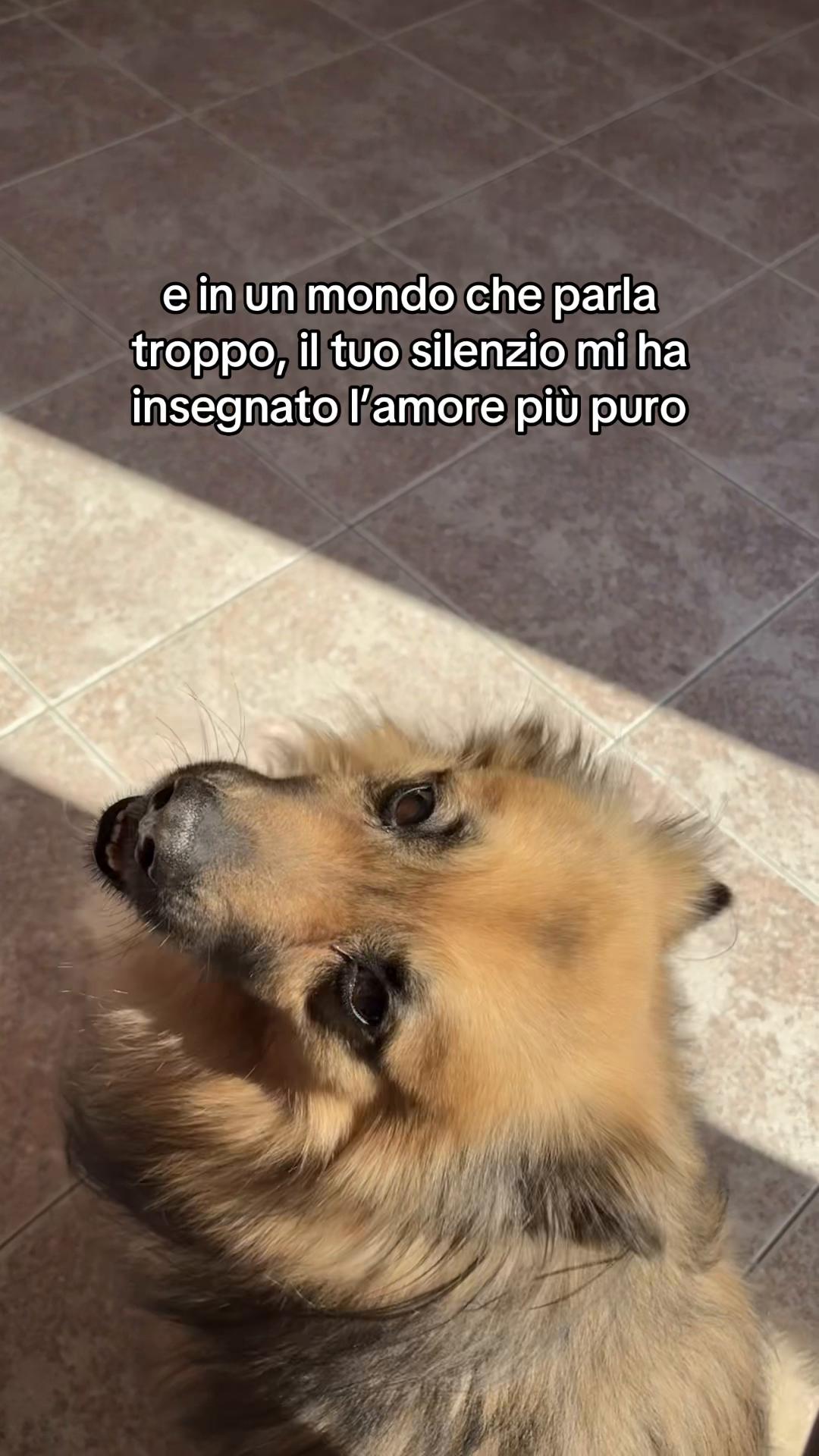 @alessiaisaia2005