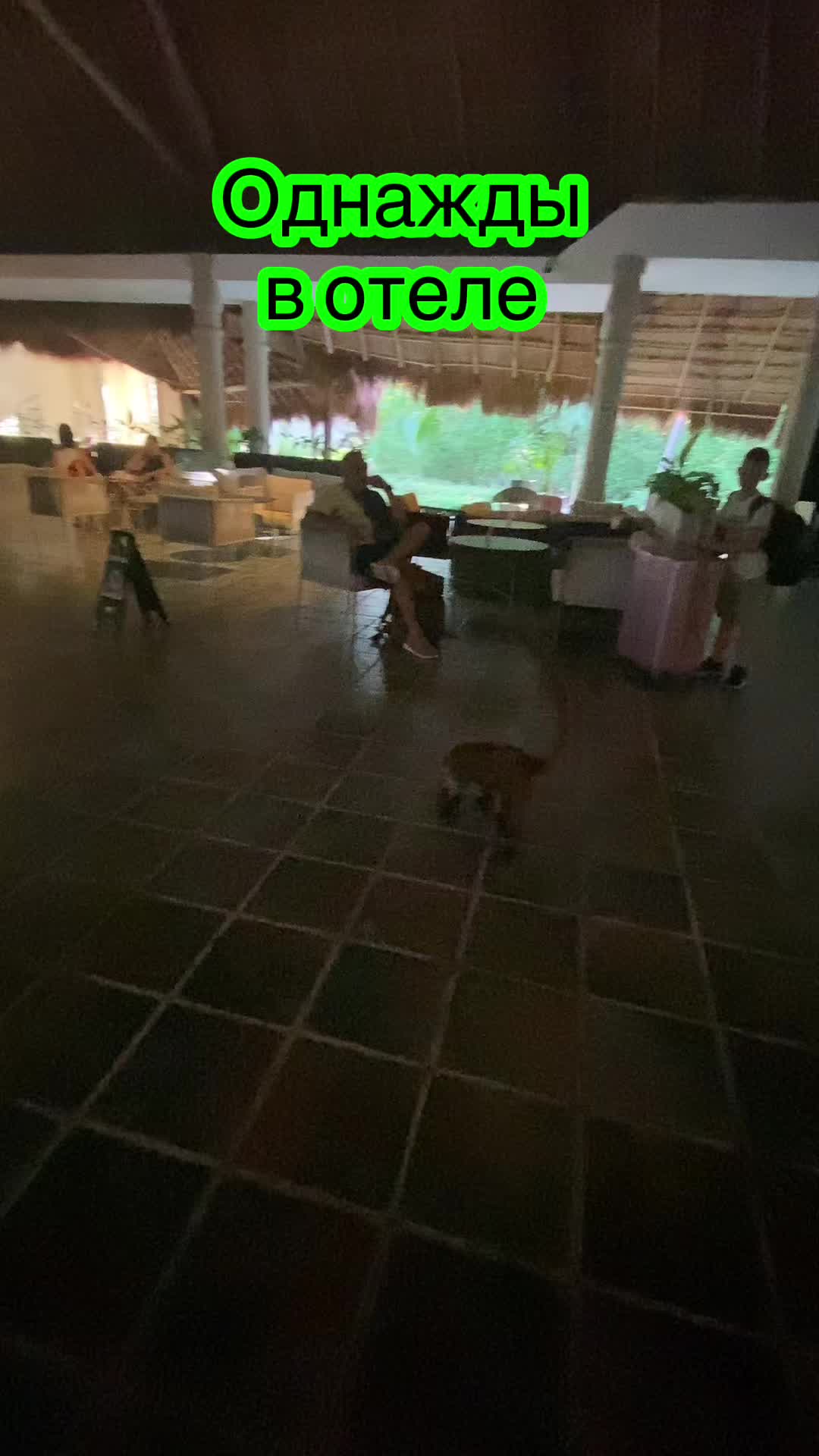 @Алёна_феникс
