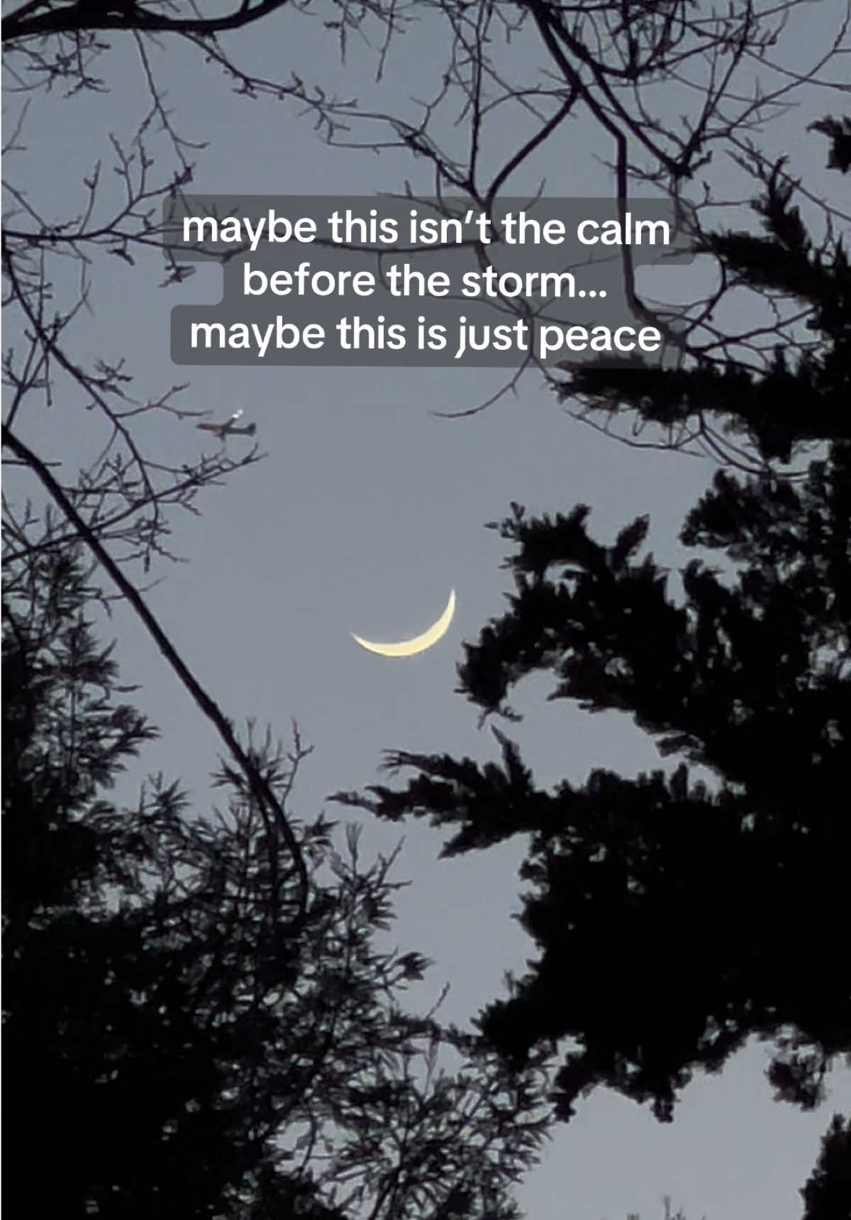 @Emma Anne 🌙