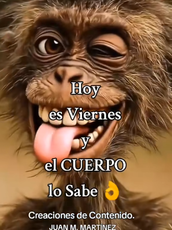 @VIAJANDO_POR_LA_VIDA ☑️