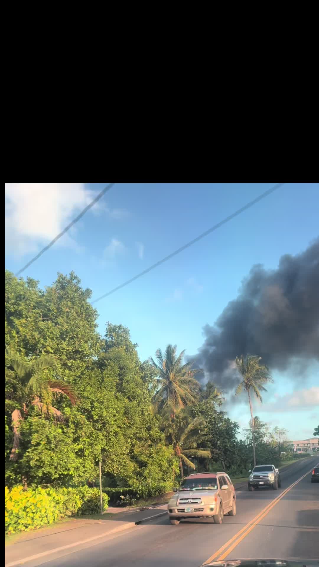 @Tua Logoai