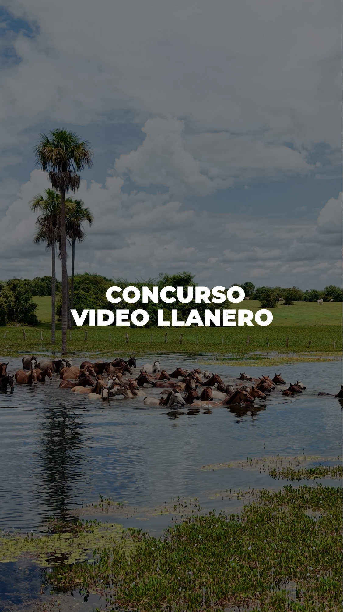 @Alexis Puerta